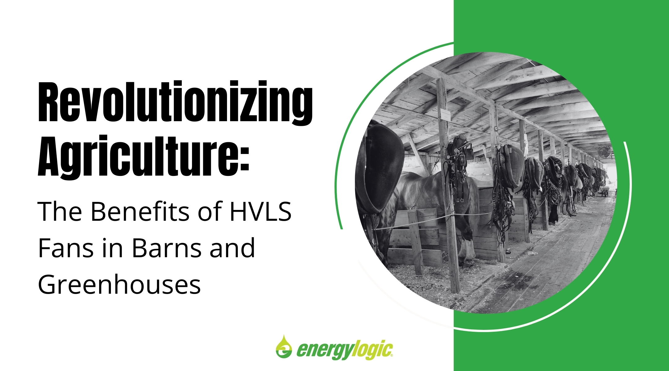 Revolutionizing Agriculture: The Benefits of HVLS Fans in Barns and Greenhouses
